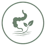 Gut Health and Digestion