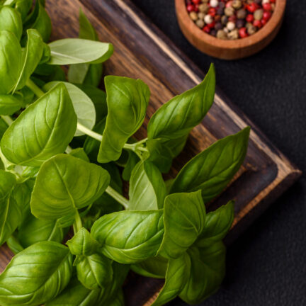 Fresh basil on wooden board with peppercorns